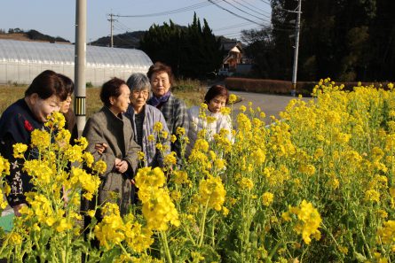 いきいきデイサービス 若松区 菜の花2