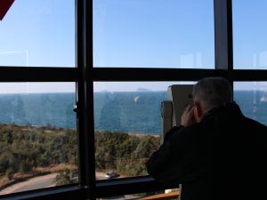 いきいきデイサービス　若松区響町　白島展示館2