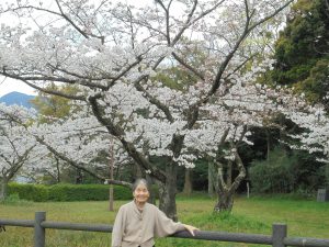 いきいき桜苑 八幡西区黒崎 桜見学2