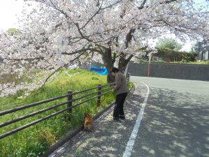 いきいき良花居　八幡西区東折尾町　お天気が良い日の過ごし方3