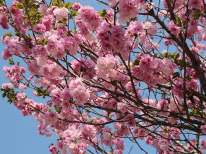 IMG_1053