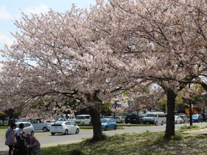 IMG_1058