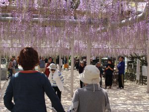 IMG_1400
