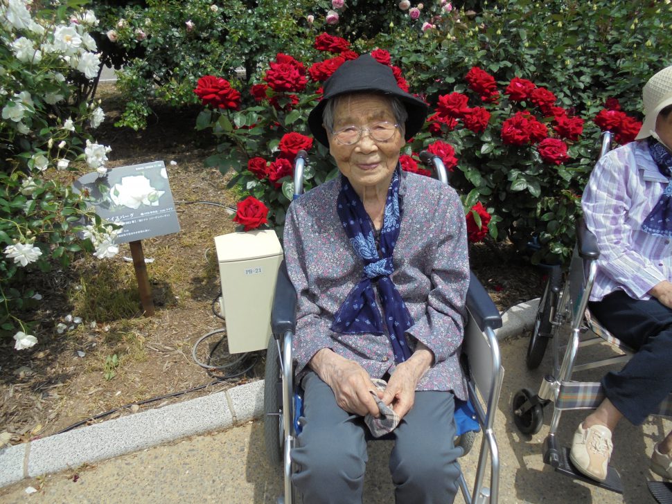 八幡西区黒崎 グループホームいきいき桜苑? バラ見学