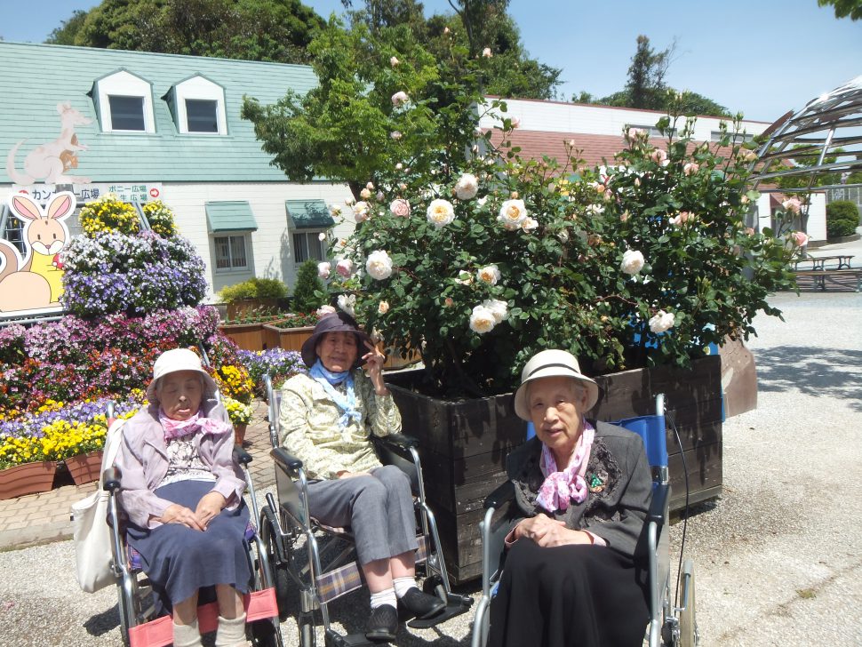 八幡西区黒崎 グループホームいきいき桜苑? バラ見学4