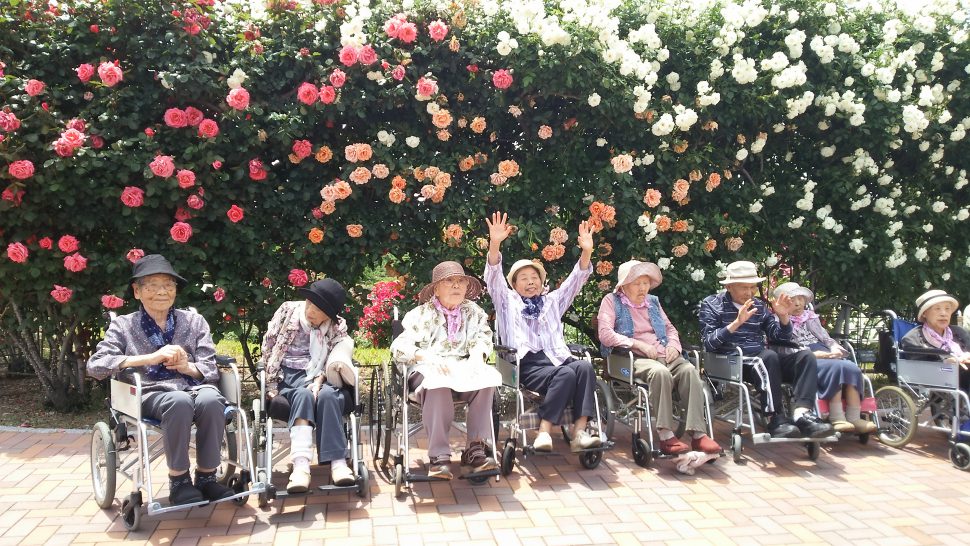 八幡西区黒崎 グループホームいきいき桜苑? バラ見学7