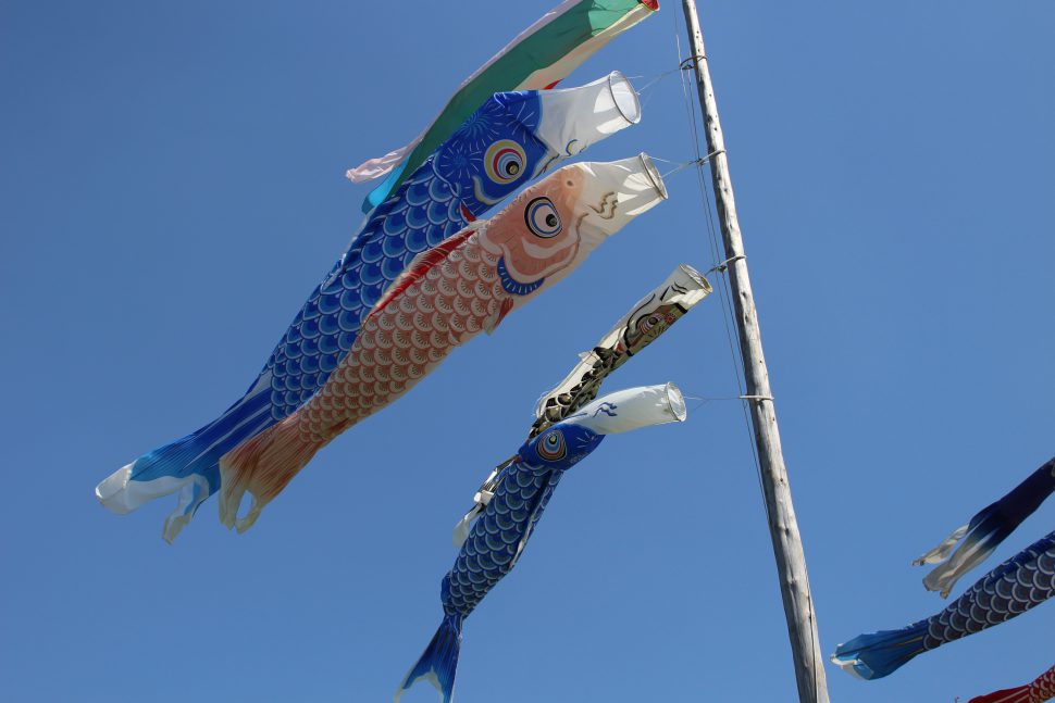 いきいきデイサービス　遠賀川　鯉のぼり１