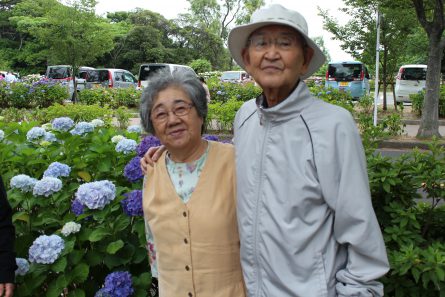 あじさい見学①