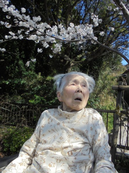八幡西区東折尾町 グループホームいきいき良花居 桜満開、春爛漫⑥