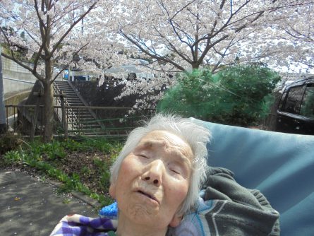 八幡西区東折尾町 グループホームいきいき良花居 桜満開、春爛漫②
