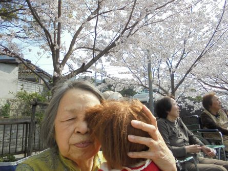 八幡西区東折尾町 グループホームいきいき良花居 桜満開、春爛漫④