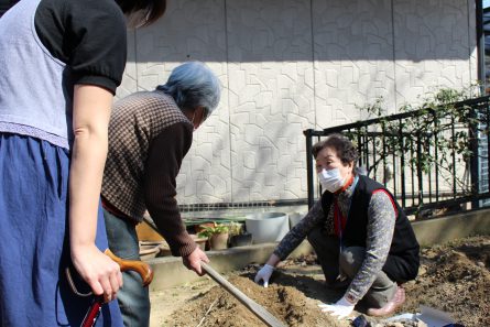 いきいき農園　ジャガイモ植え②