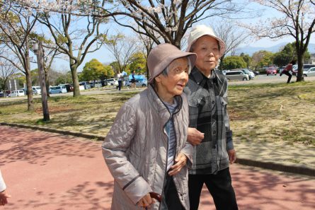 桜見学⑦