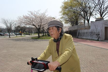桜見学③