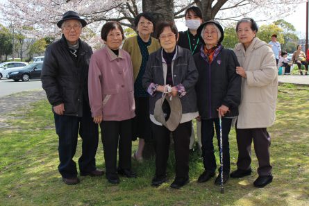桜見学②