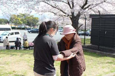 桜見学①