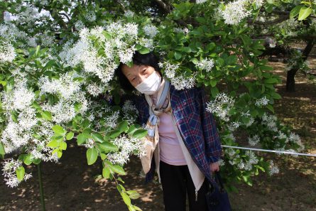 花見　なんじゃもんじゃ　お出かけレク　岡湊神社　いきいきデイサービスセンター南　いきいき南