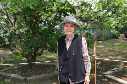 花見　なんじゃもんじゃ　お出かけレク　岡湊神社　いきいきデイサービスセンター南　いきいき南