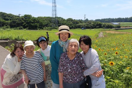 ひまわり見学⑧