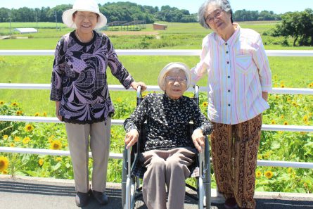ひまわり見学②