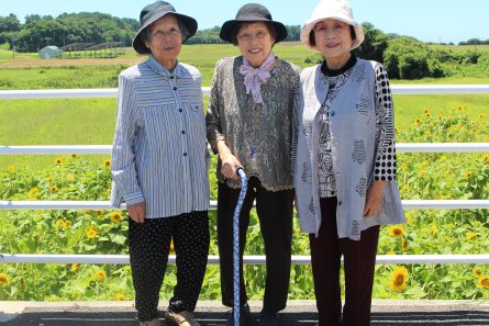 ひまわり見学③
