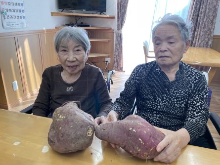 大きなお芋頂きました。顔より大きなお芋に自然と笑顔がこぼれます。