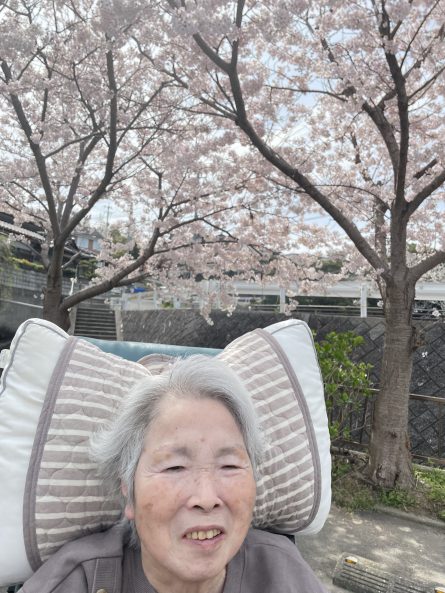 鳥のさえずりをBGMにゆっくりした時間を桜の花と共に・・・