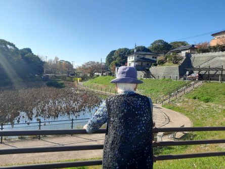 こちらもおなじみのいつもの光景。くちなし池。絵になります。天気の良い日は外気浴に限ります。