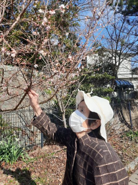 近所の公園にて、これは何の花かしら？