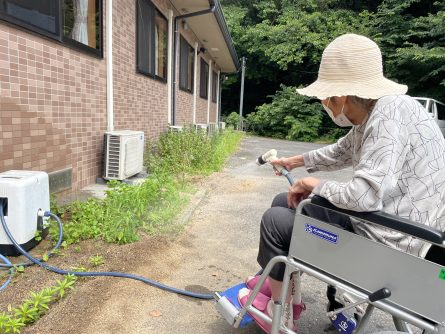 雨が降らない日はお花の水やりをします。