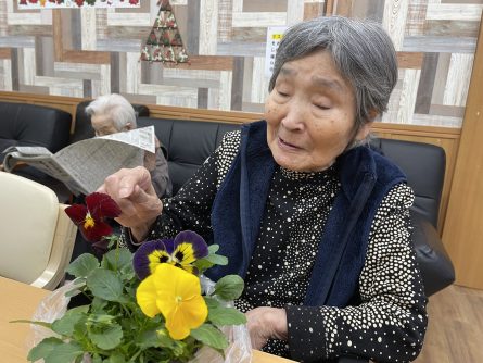 パンジーのお花。ポット苗のままなので花壇に植えましょう！！