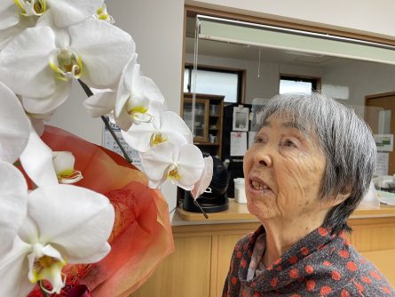 とても綺麗な大きな胡蝶蘭を頂きました。皆さんお花が大好きです。