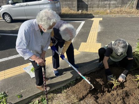 芋は入っているかな？