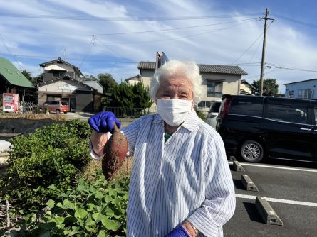 立派なお芋！