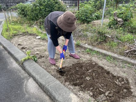 ５月芋づる植え